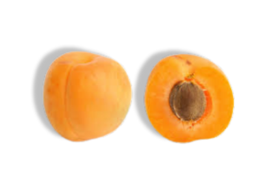 Apricot