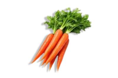 Carrot Seed