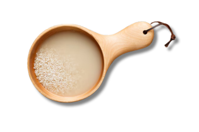 Fermented Rice