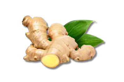 Ginger