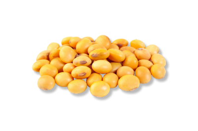 Lecithin