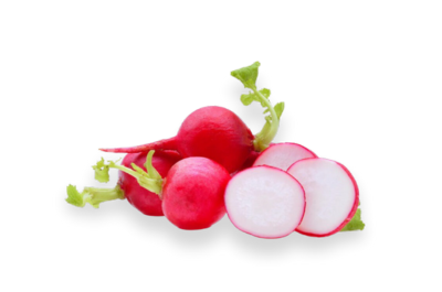 Radish Root Ferment