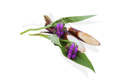 Allantoin