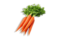 Carrot Seed