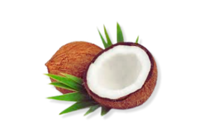 Coco Glucoside