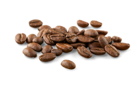 Coffee Bean