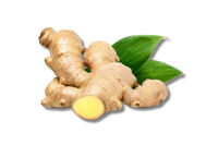 Ginger