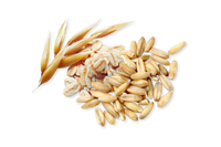 Oat