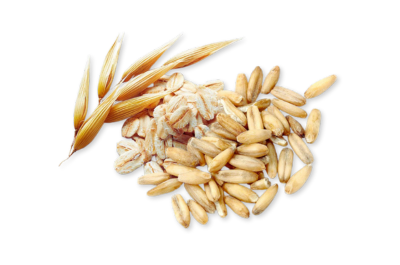 Oat