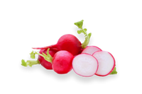 Radish Root Ferment