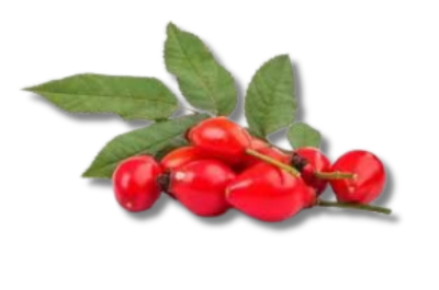Rosehip Seed