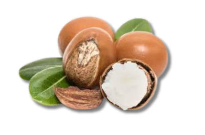 Shea Butter