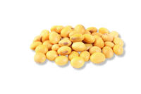 Soybean Seed