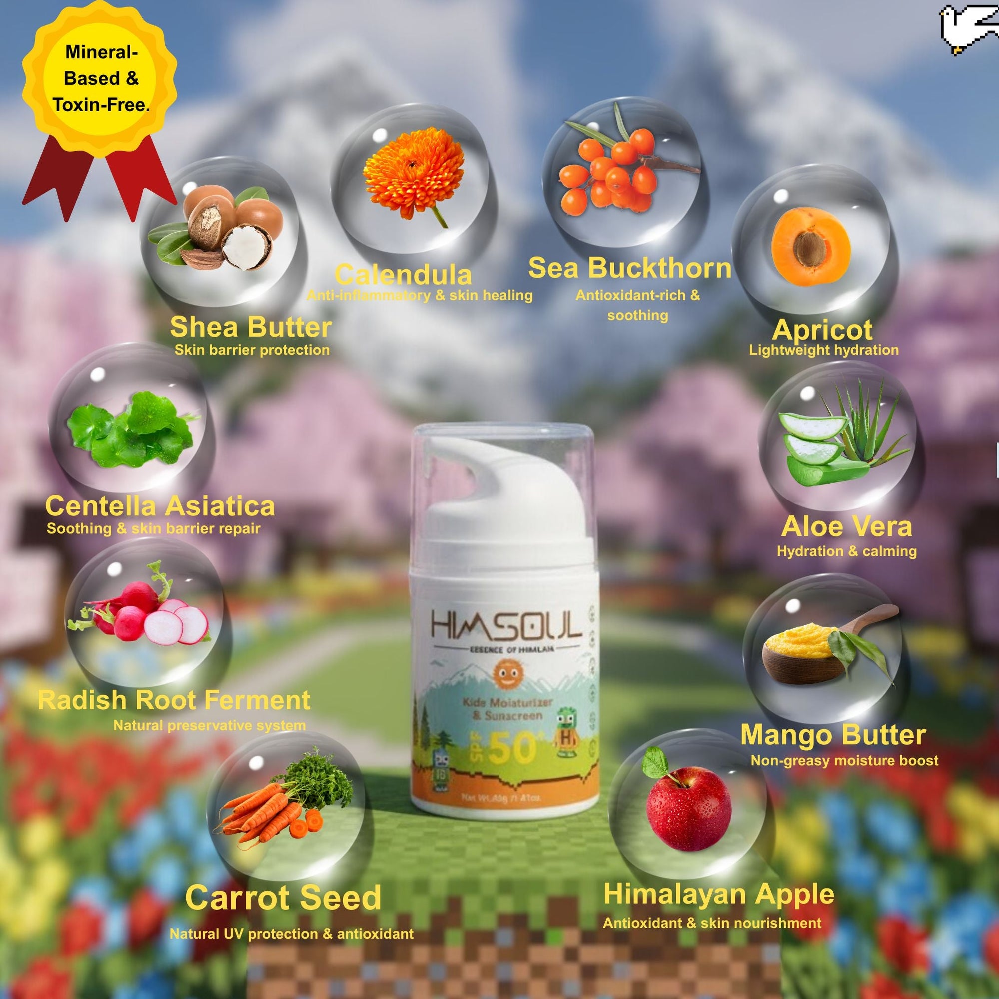 Infographic showing natural ingredients of Himsoul kids skincare: Shea Butter, Calendula, Sea Buckthorn, Aloe Vera, and Himalayan Apple for skin nourishment.