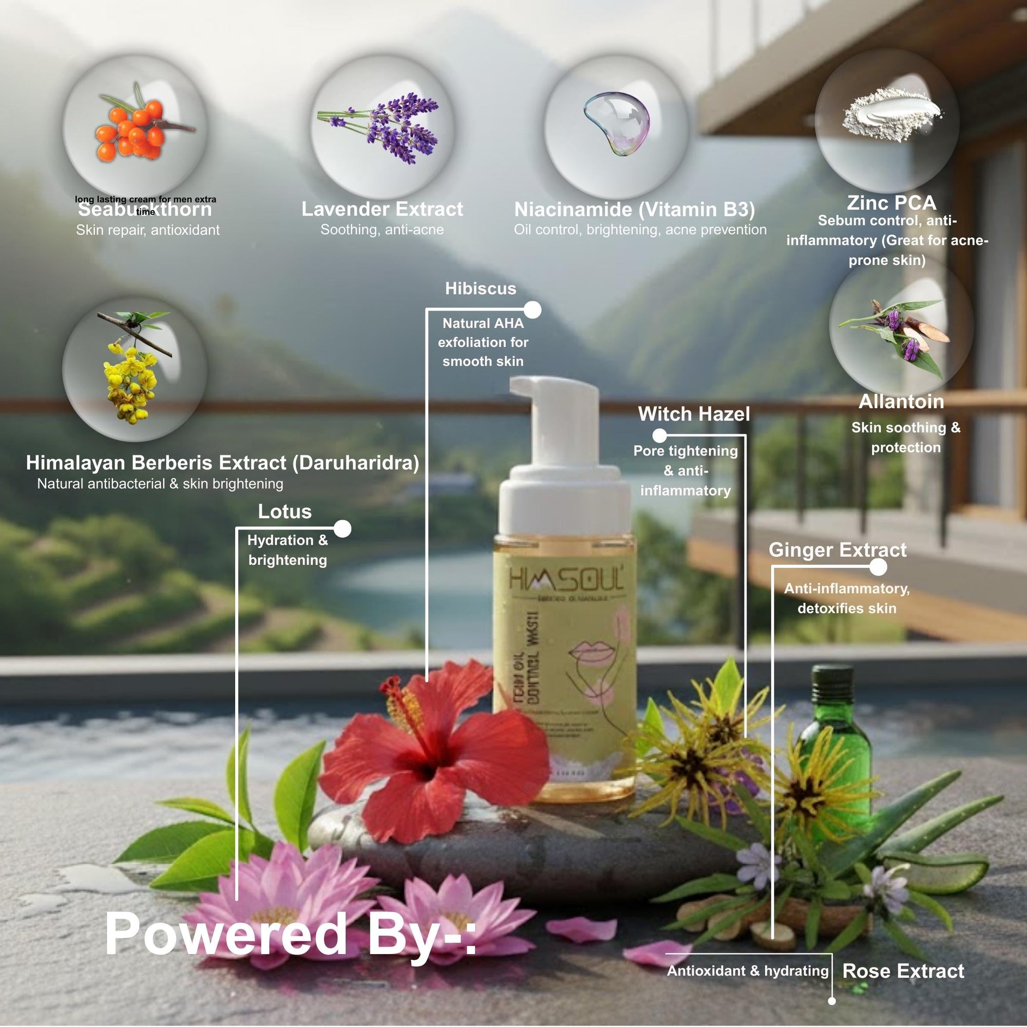 Himalayan botanical ingredients for teen acne including Seabuckthorn, Berberis, Niacinamide, and Zinc PCA powering Himsoul Oil Control Face Wash.